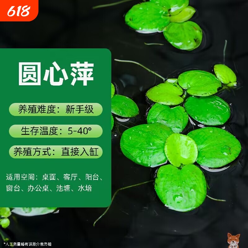 产地直发圆心萍牡丹萍鱼缸龟缸漂浮水草净水造景无需泥土乡村好物