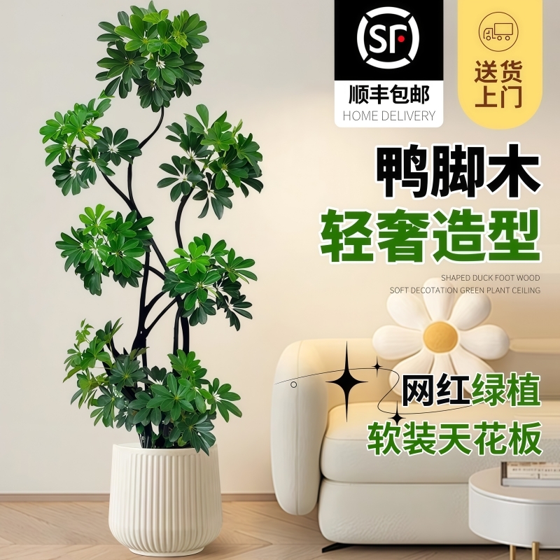 网红造型好养耐活高级感客厅室内大型盆栽四季常青常绿绿植