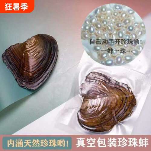 诸暨淡水迷你珍珠蚌蚌一蚌一珠爱迪生河蚌自己开蚌取珍珠diy国货