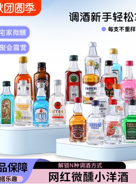 调酒小酒版便利店小瓶酒微醺白兰地威士忌小洋酒DIY鸡尾酒瓶装