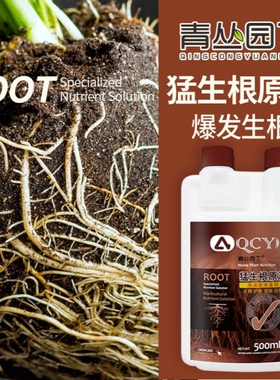 青丛园丁猛生根原液爆根生根多根壮防烂根移栽缓苗扦插