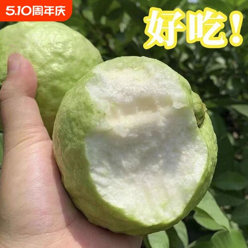 广东脆甜番石榴芭乐白心孕妇新鲜应季水果正宗奶油巴乐一整箱包邮
