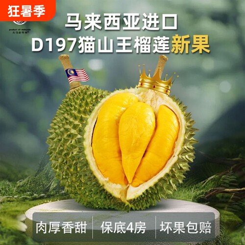 彭亨州马来西亚猫山王榴莲d197