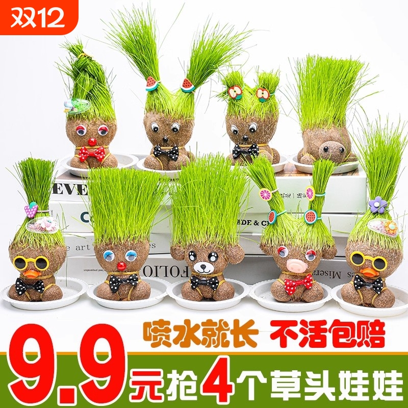 水培草头长草娃娃儿童种植小盆栽种草绿植植物幼儿园桌面室内