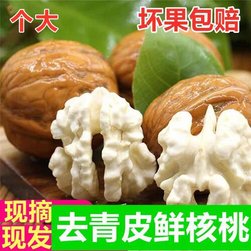 26年湿核桃新鲜采摘青皮核桃