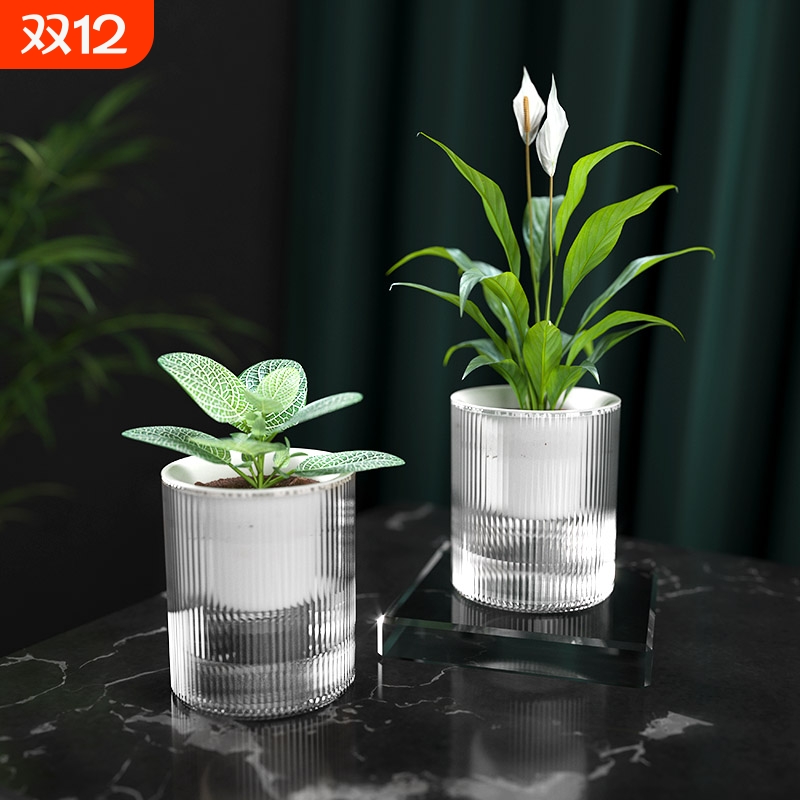 懒人绿萝植物自动吸水花盆透明水培器皿塑料玻璃水养花瓶绿箩专用
