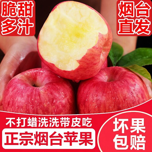 山东烟台红富士苹果当季现摘新鲜水果甜丑苹果整箱包邮10斤糖心