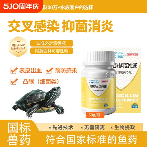 必定清阿莫西林粉剂精制黄粉