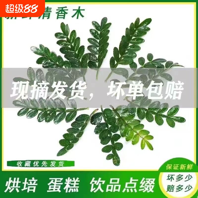 清香木叶子蛋糕装饰|千人加购图片