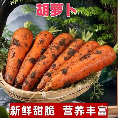 新鲜现挖胡萝卜营养健康蔬菜脆甜