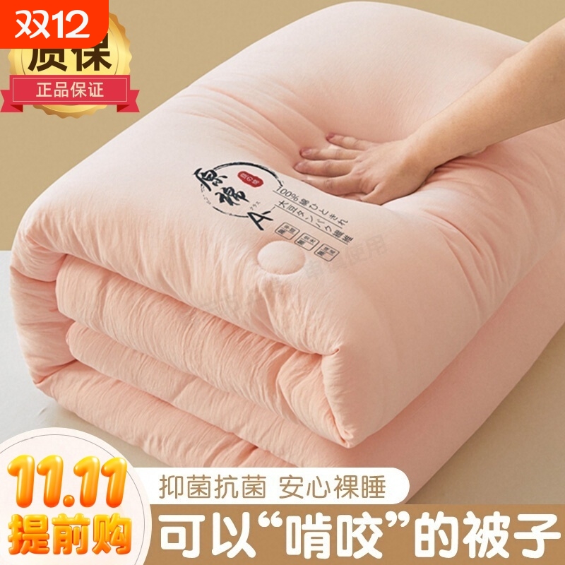 大豆纤维加厚被芯|超5000次加购