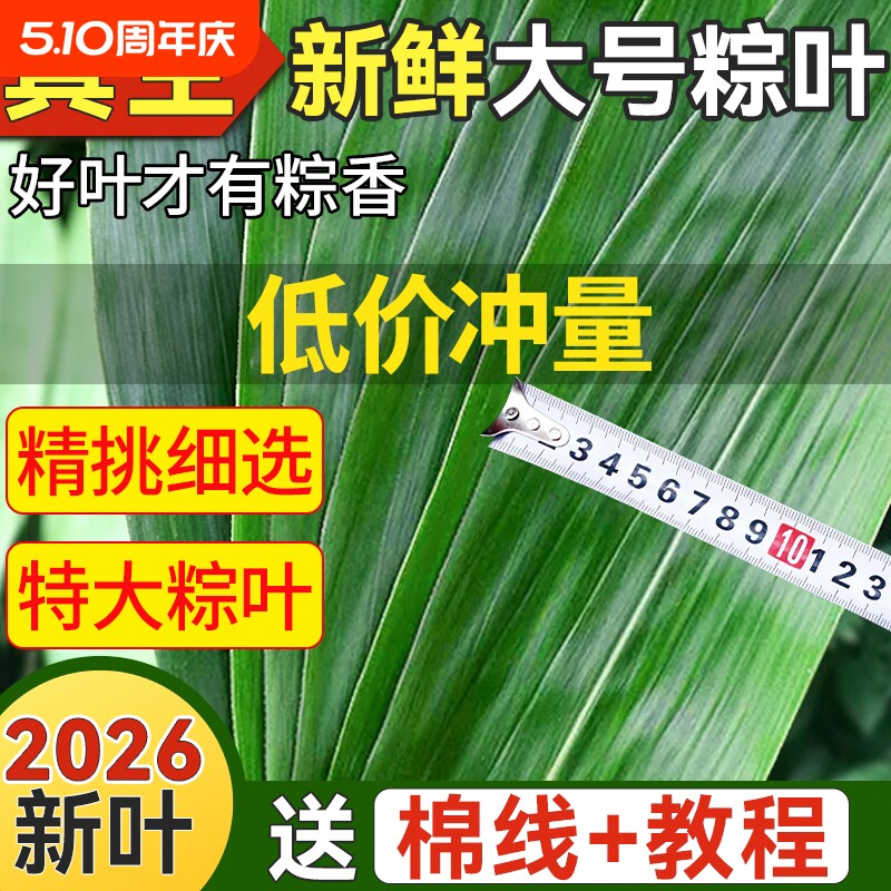 粽叶新鲜粽子叶大号特现摘包棕专用干家商批发旗舰店野生箬叶子