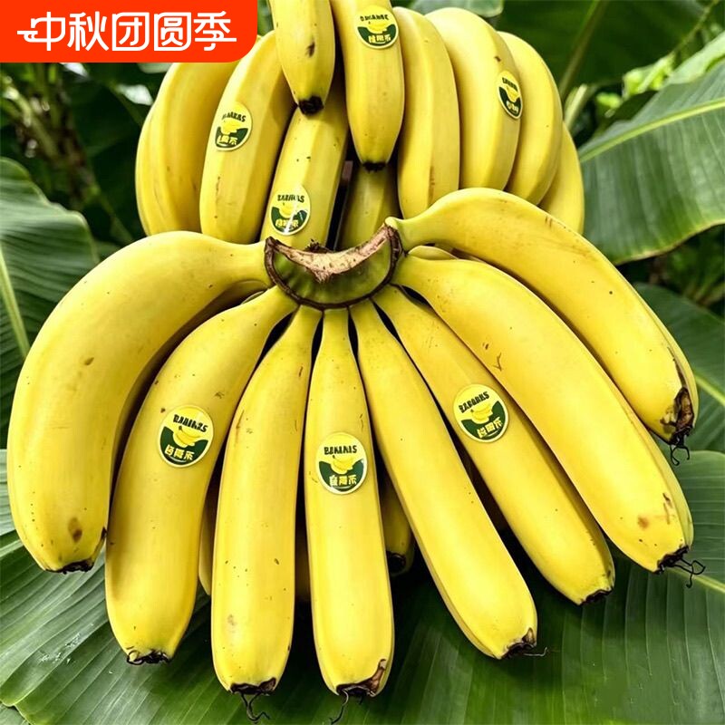 高山有机肥农家香蕉5斤