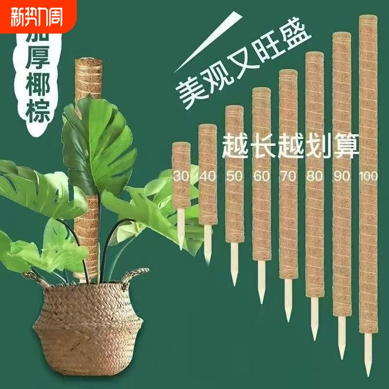 龟背竹支撑杆绿箩攀爬柱椰棕棒固定架植物爬藤花架棕榈皮椰丝苔藓