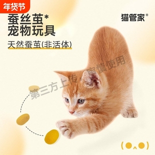 猫咪玩具天然蚕茧逗猫棒小铃铛幼猫逗猫玩具自嗨解闷神器宠物玩具