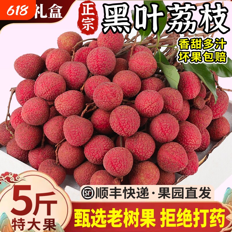 顺丰礼盒 福建黑叶荔枝5斤大果当季现摘现发新鲜水果老树果荔枝甜