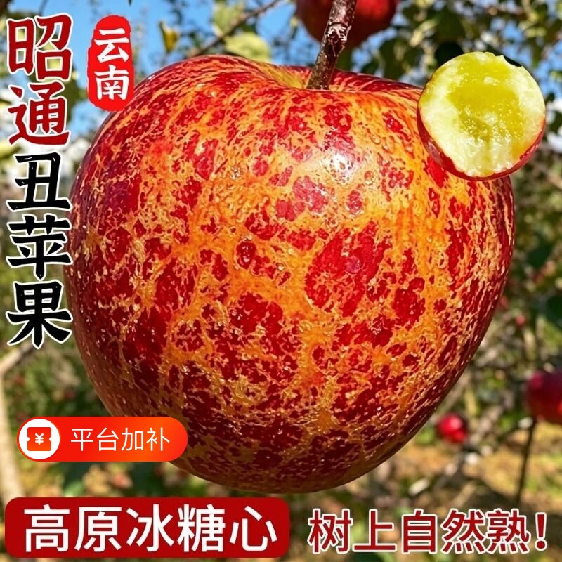 云南昭通丑苹果正宗冰糖心红富士新鲜水果应季当季整箱产地直发