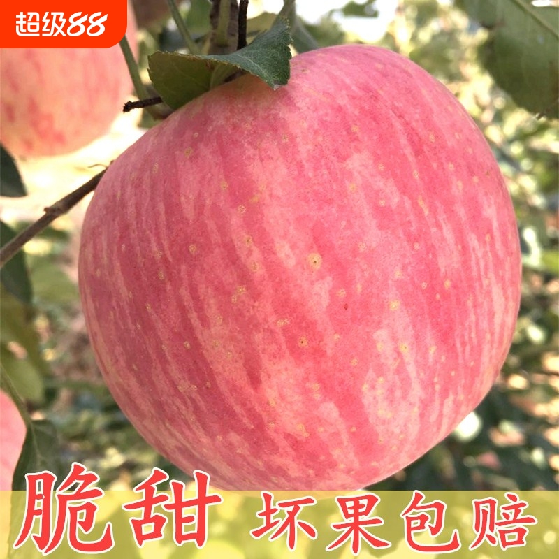 正宗山东烟台红富士苹果新鲜水果5斤当季冰糖心栖霞特产批发包邮