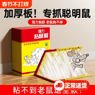 粘鼠板强力胶抓粘大老鼠贴药灭抓鼠神器克星家用一窝端捕鼠厨房