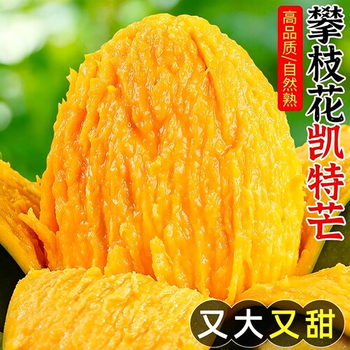 四川攀枝花凯特芒果5-9斤
