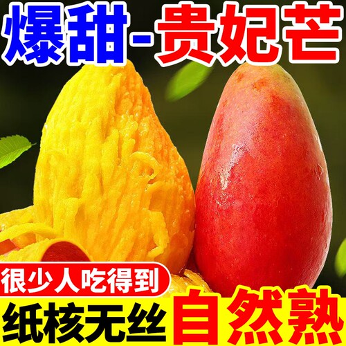 海南贵妃芒果薄皮小果