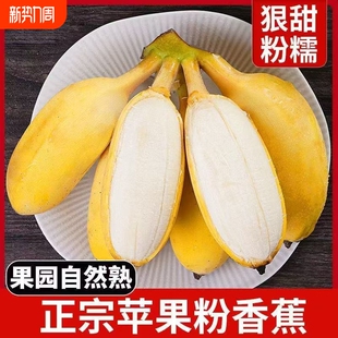 正宗广西苹果蕉香蕉新鲜软糯纯甜自然熟当季 水果粉蕉小米芭蕉香焦