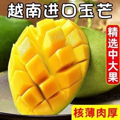 【优质】越南玉芒新鲜当季整箱整果越南芒果.口感细腻口感细腻甜