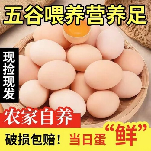 新鲜土鸡蛋农家林间慢养谷物蛋鲜鸡蛋柴鸡蛋草鸡蛋初生蛋黄心蛋