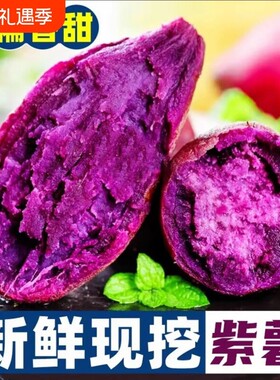 【当季新货】紫薯新鲜农家自种沙地小红薯番薯板栗地瓜蜜薯紫罗兰