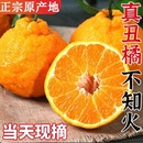 4.5斤四川不知火丑橘，单果70mm+