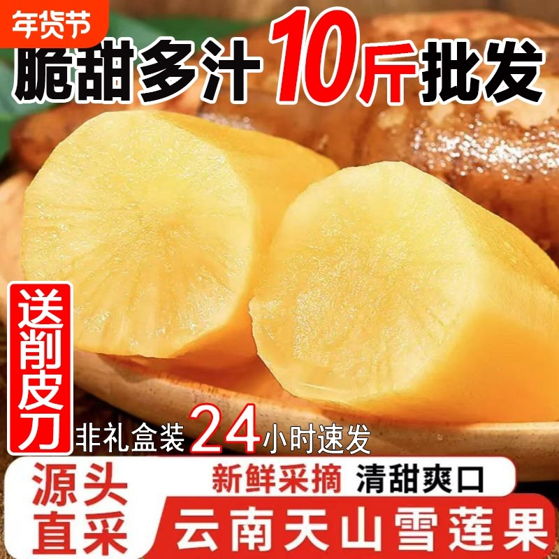 云南天山雪莲果现挖现发高原脆甜雪中仙果当季新鲜水果批发包邮,水产肉类/新鲜蔬果/熟食,雪莲果,淘宝优惠券,粉丝福利购,淘宝优惠卷