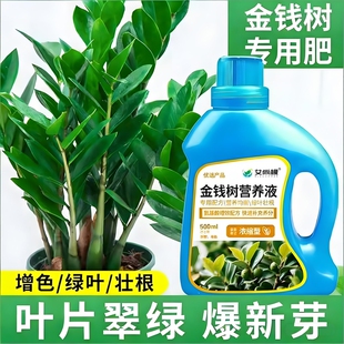 金钱树专用营养液防黄叶催绿长效营养肥液体肥家用盆栽绿植花肥料