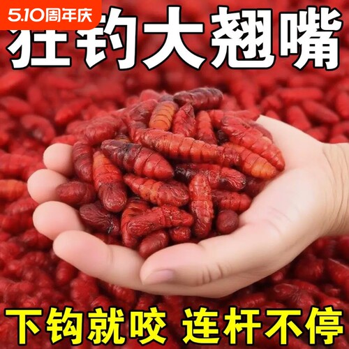 翘嘴专用饵料四季通用专攻大翘嘴野钓黑坑水库江河湖泊爆护通杀饵