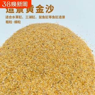黄金沙南美三湖鼠鱼底砂天然细河沙水草砂化妆沙鱼缸草缸水陆造景