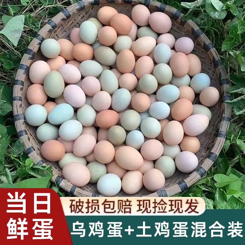 农家散养混合鸡蛋新鲜乌鸡蛋草鸡蛋柴鸡蛋笨鸡蛋谷物鸡蛋