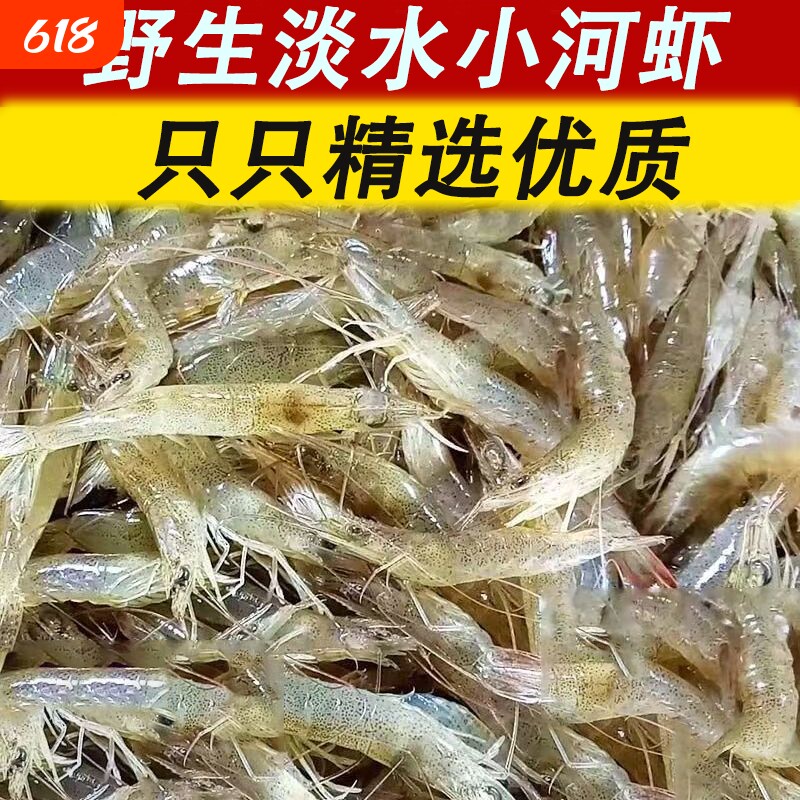 野生新鲜小虾淡水活虾小白虾虾小明虾批发包邮鲜活速冻冷冻水产
