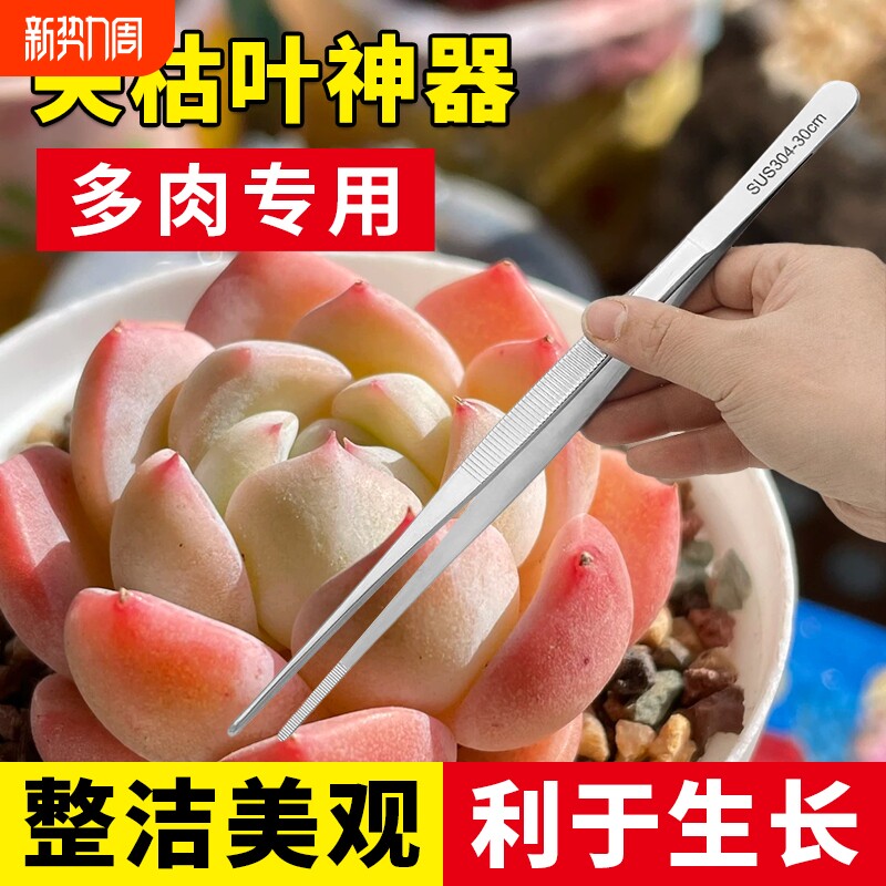 多肉专用不锈钢加长带齿大镊子鱼缸水草昆虫多肉园艺夹子镊子工具