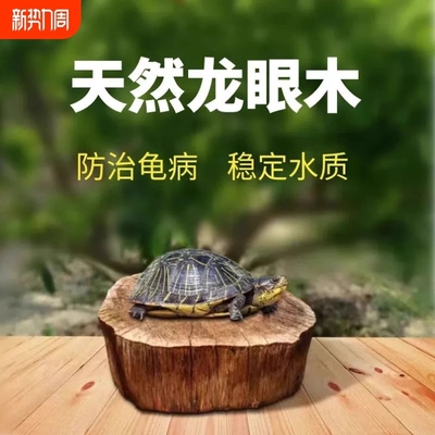 天然乌龟晒台预防腐皮腐甲龙眼木