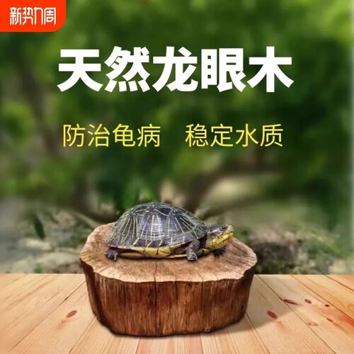 天然乌龟晒台预防腐皮腐甲龙眼木