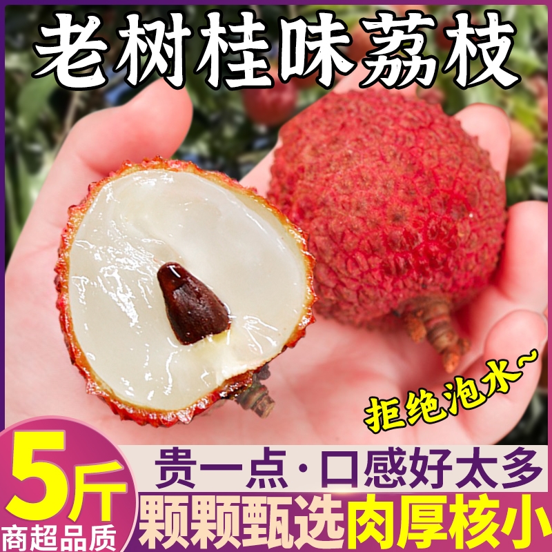 现摘丨老树桂味荔枝5斤当季新鲜现发水果整箱包邮白糖妃子罂笑甜