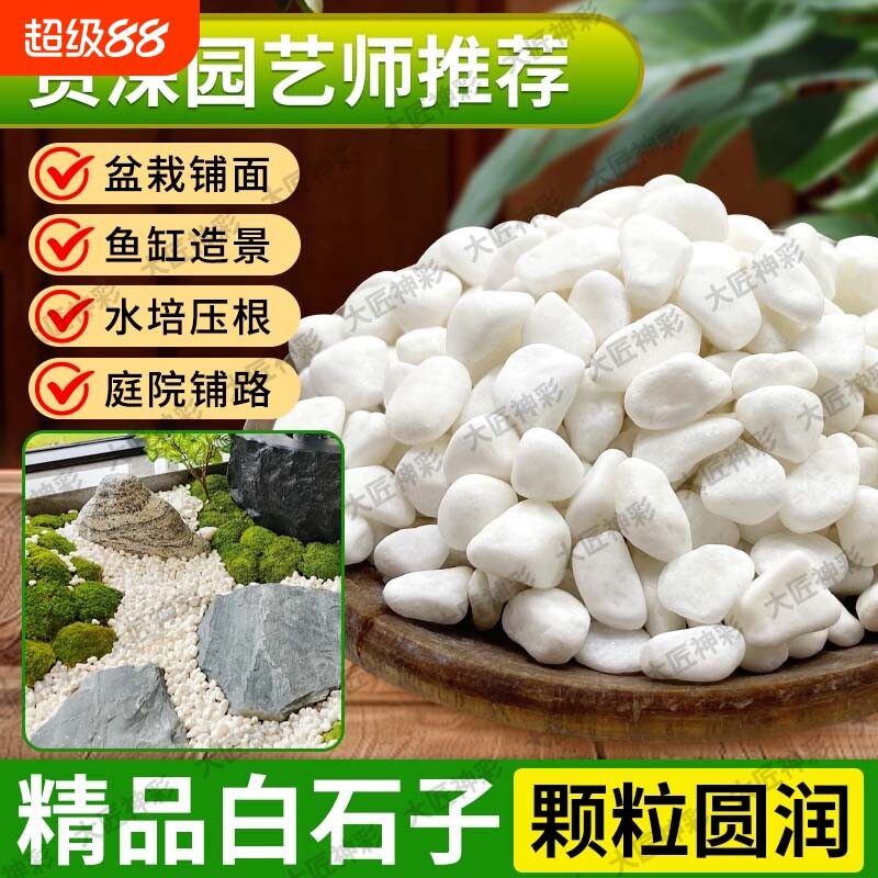 鹅卵石小白白色石子雨花石庭院造景多肉铺面铺路石园艺水培石头子