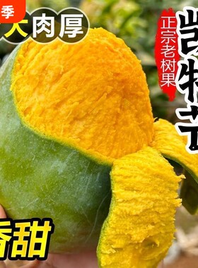四川攀枝花凯特芒果当季新鲜水果现摘超甜彩虹芒大青吉禄芒果整箱