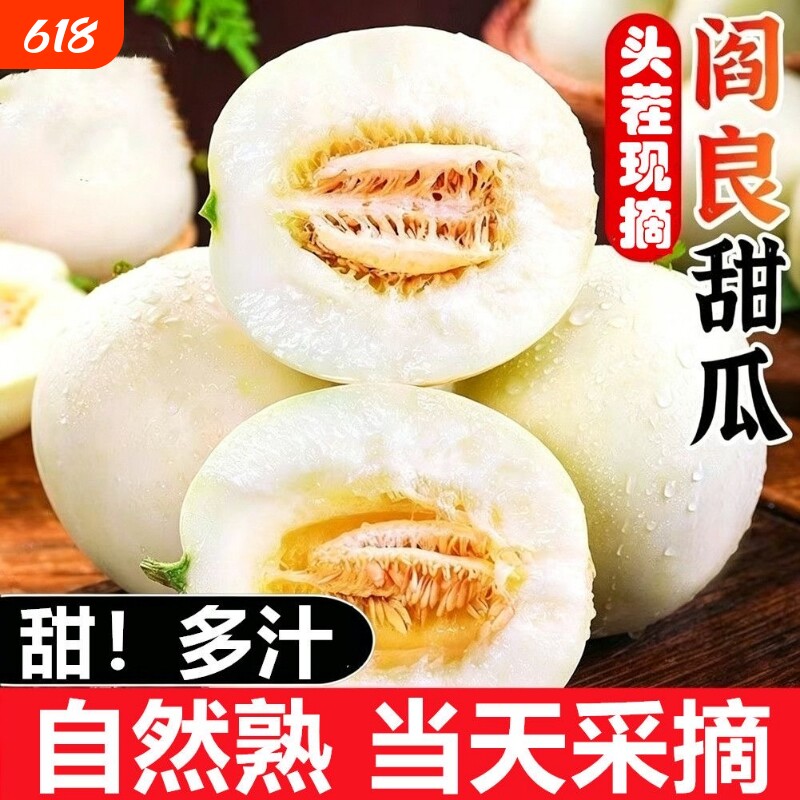陕西阎良甜瓜新鲜香瓜应季当季现摘时令水果头茬蜜蜜瓜脆小籽白瓜