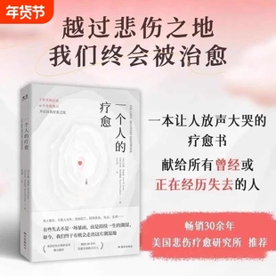 正版速发一个人的疗愈越过悲伤之地我们终会被治愈一本让人放声大哭的书7次互助会谈6个自我练习开启之旅樊登推荐情绪