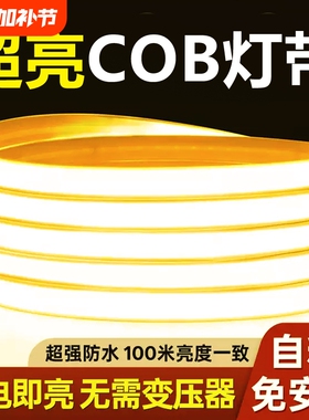 led灯带220v户外防水超亮自粘线形灯家用客厅吊顶氛围灯硅胶灯条