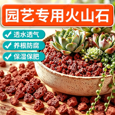 火山石园艺养花蝴蝶兰花专用多肉颗粒营养土铺面大块鱼缸造景底砂