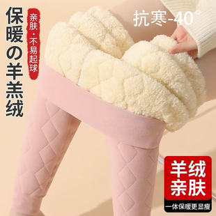羊毛保暖裤 德绒秋裤 女加绒加厚打底裤 特厚高腰大码 东北棉裤 秋冬季