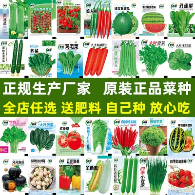 蔬菜种子香葱黄瓜辣椒长豇豆角四季豆生菜籽甜瓜西瓜孑大全丝瓜