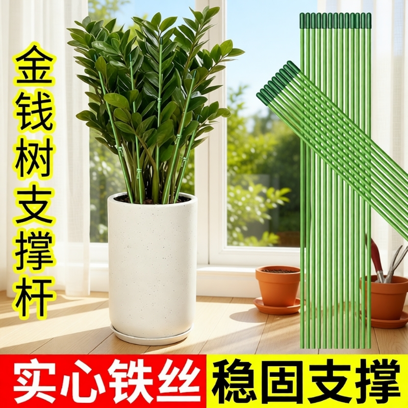 金钱树支撑杆花盆支架杆室内花卉植物园艺花架爬藤固定杆造型包塑