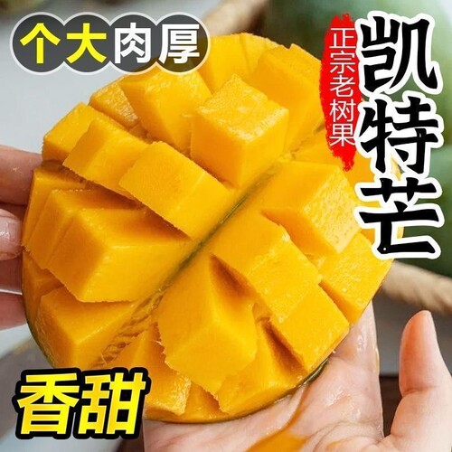 正宗凯特芒大芒果|7天热卖上千件